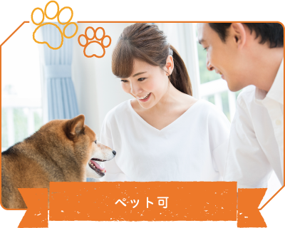 ペット